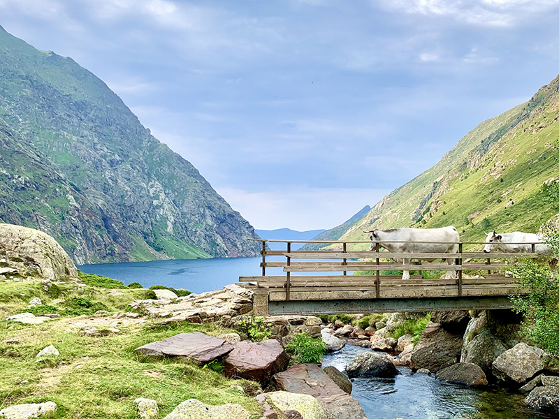 Parc Naturel Régional des Pyrénées Ariégeoises
